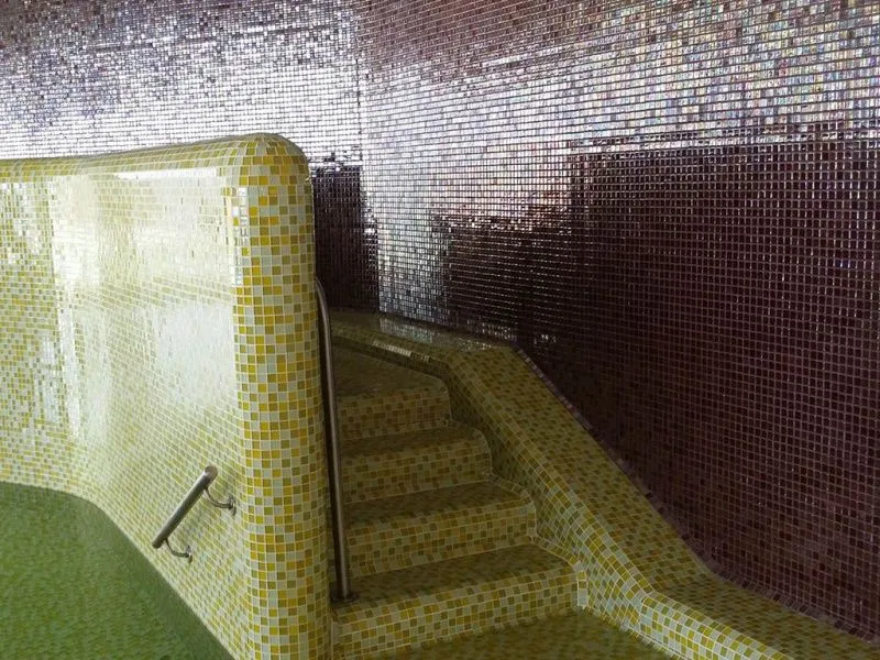 Мозаика POOL-SPA WELLNESS от производителя Togama –  фото