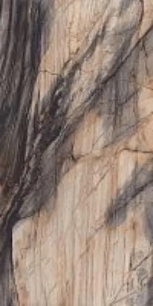 600_BLENDART CAMEL_P1 copy