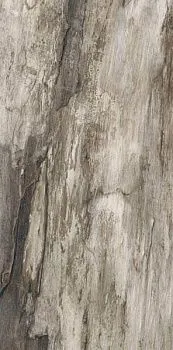 Керамогранит Petrified GREY BARK RETT 45