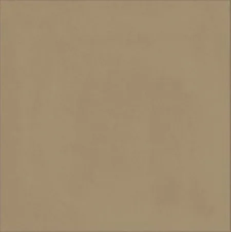 Керамогранит CONTRASTI BEIGE (R7GT) (изображение)