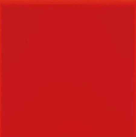 Керамогранит TECHNIC ROJO 20 (изображение)