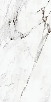 Керамогранит STATUARIO PLUS/60x120/EP (23462)