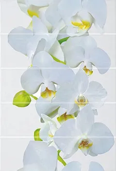 Декор Флер ВС7ФЕ001/DWU07FLR001