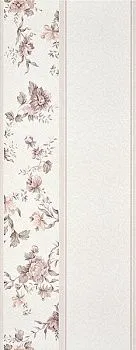 Настенная плитка Passione - D