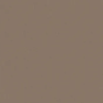 Напольная плитка LIRICA TORTORA MATT (G1702A)