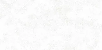 Керамогранит Pav. RIGA WHITE 30х60