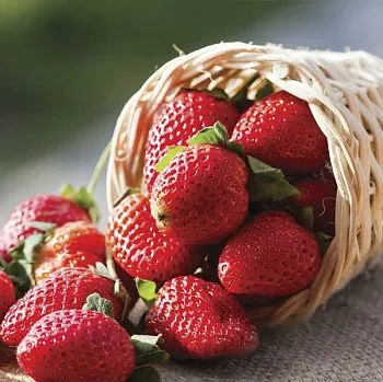 Вставка Bella Корзина с клубникой