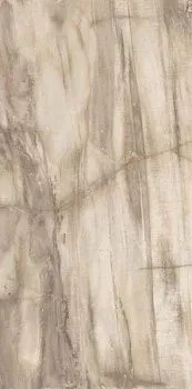 Керамогранит Petrified CORE BEIGE TIGER RETT 45