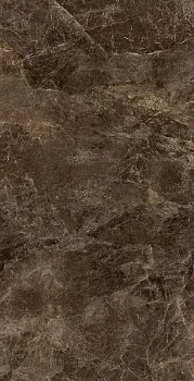 Керамогранит FRAPUCCINO POLLOCK RET NAT C46M6R