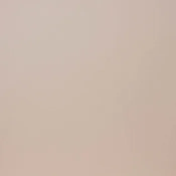 Керамогранит G-110/MR бежевый