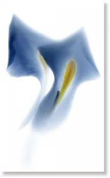 Декор TD1/005 NOVABLUE E/1