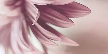 Декор Sorenta inserto kwiat A