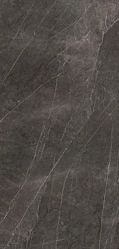 Керамогранит Xlight Premium Savage Dark Nature (C229800451)