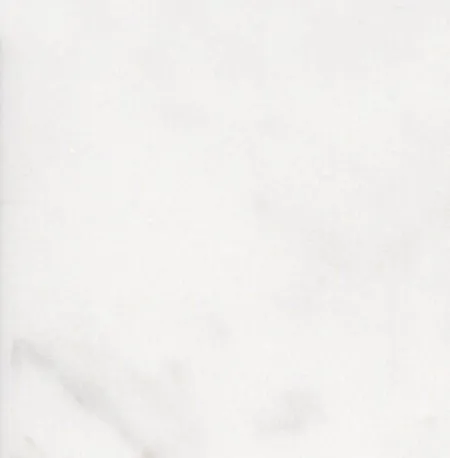 Вставка Фрагонар 5282/9 белый (изображение)