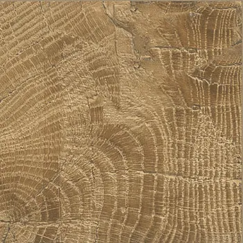 Керамогранит TRONCO (ECTN)