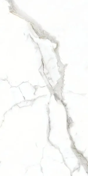 ALASKA WHITE_F1_60x120 (6)