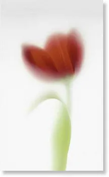 Декор 970044 TD1/003 NOVARED C/1