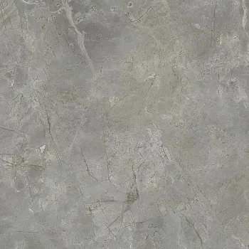 Керамогранит Xlight Premium Bosco Grey Silk (C221100861)