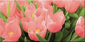 Декор Элара Коралл Триумф