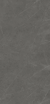 Керамогранит Xlight Premium Liem Grey Silk (C229801771)
