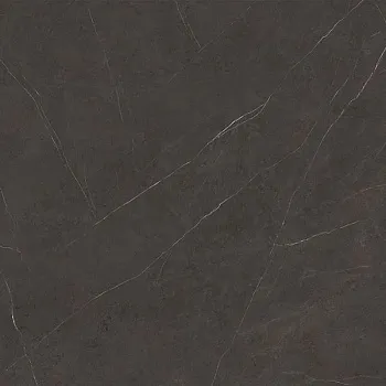 Керамогранит Xlight Premium Liem Dark Nature (6 мм) (C221101581)
