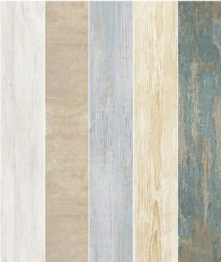 Керамогранит Jaipur Multi (изображение)