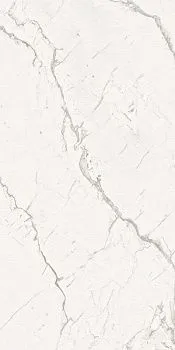 Керамогранит ARMONIA Silver Full Lappato 160