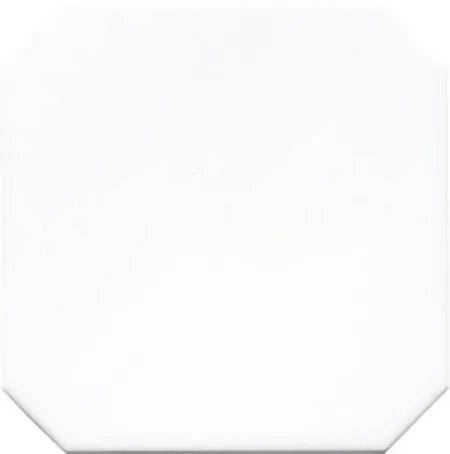 Настенная плитка STUDIO OCTOGONO SNOW CAP (ADST1028) (изображение)