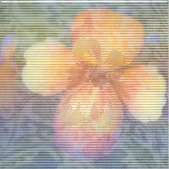 Декор настенный Весеннее шоу NT\A94\5155 Бегония