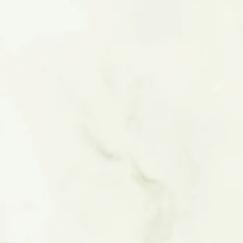 Напольная плитка PAV. BIANCOSPINO MPV050