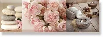 Декор  Decor Aure Spa Zen 01 AK0910