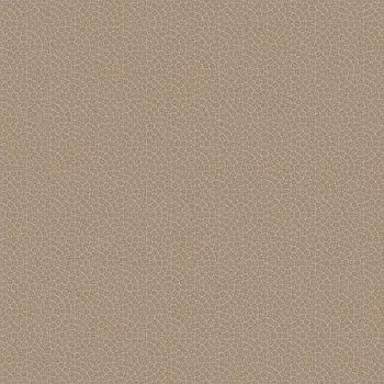 Керамогранит Princess коричневый (C-PC4R012D)