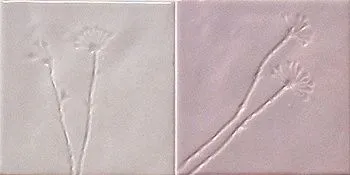 Декор Inserto Chiaia Lilla