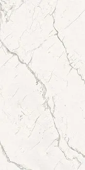 Керамогранит ARMONIA Silver Full Lappato