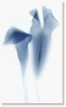 Декор 970050 TD1/006 NOVABLUE F/1