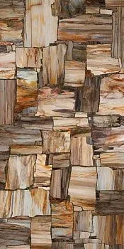 Керамогранит PETRIFIED