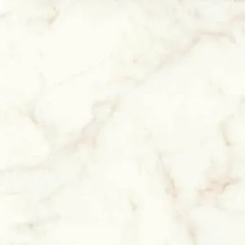 Керамогранит Marvel Shine Calacatta Delicato Lappato (A4Q8)