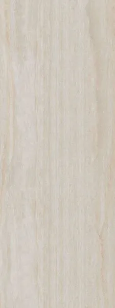 SG072800R6_119,5×320_1