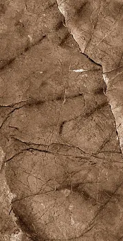 Керамогранит Hi-Glossy - Arizona Choco (8022)