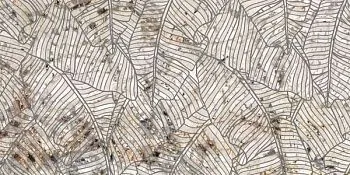 Декор NOBILE DEC.FOGLIE BLANC DU BLANC LUX RET 60