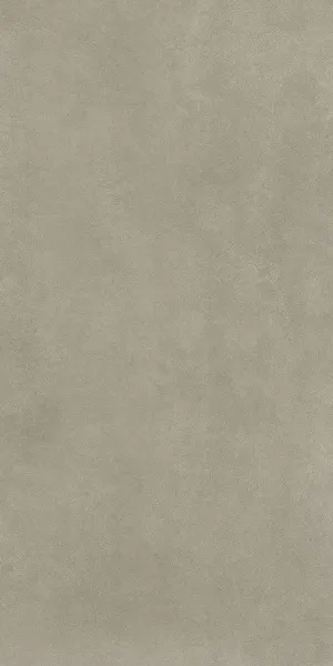 FOREVER GRIGIO F1_60x120 (2)