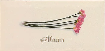 Декор Biselado Decor Crema Alium