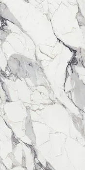 Керамогранит LES ORIGINES DE REX  ARGENT GLOSSY (769859)