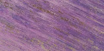 Настенная плитка AMETISTA SOLENNE 30- fondo