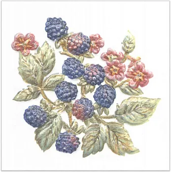 Декор TFA010 Оранжерея Ежевика
