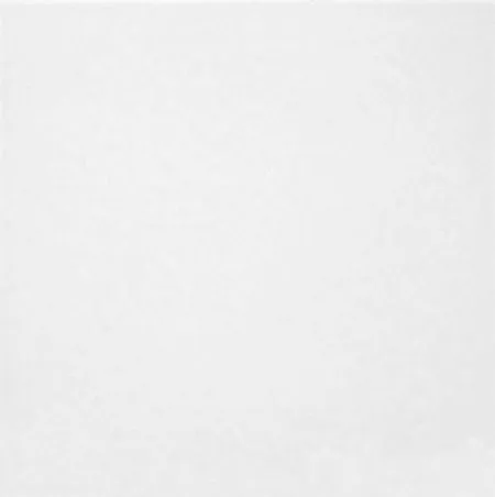 Напольная плитка Флер ПГ3ФМ000/TFU03MNR000 (изображение)