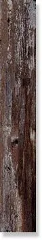 Керамогранит VINTAGE WOOD CASTANHO