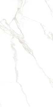 Керамогранит MUSEUM TORANO BIANCO NAT.R