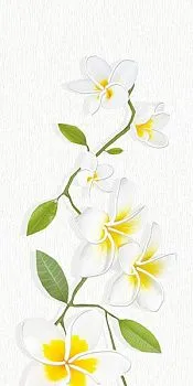 Декор Frangipani 2 DW9FRG200