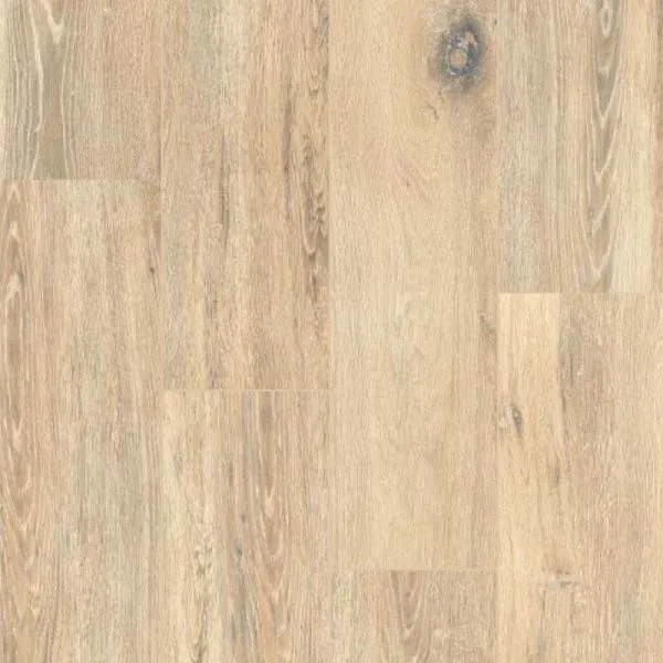 Керамогранит BRIGANTINA BG02  Непол.Рект. (изображение)